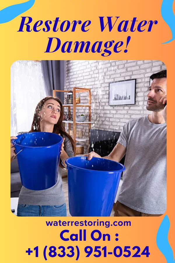 water restoration United Damage Recovery & Associates Dollar Bay
